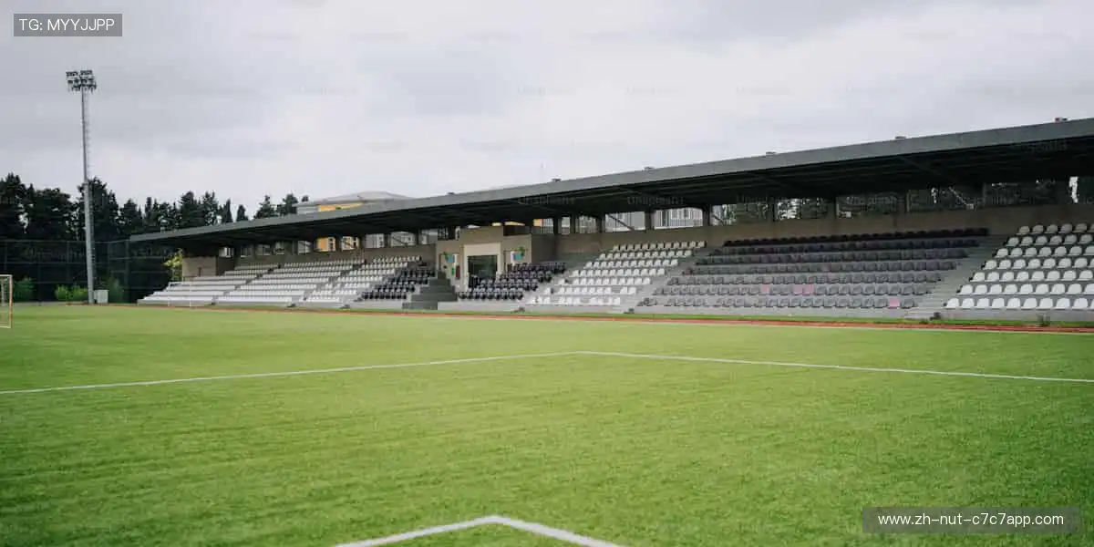 独家视角，让热爱零距离！📺✨